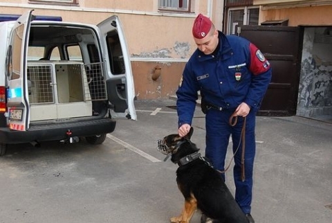 Kutyás rendőrök a soproni belvárosban Kutyás rendőrök a soproni belvárosban