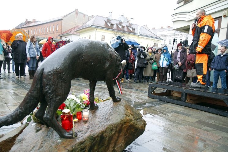 Mancsra, a legendás mentőkutyára emlékeztek Mancsra, a legendás mentőkutyára emlékeztek