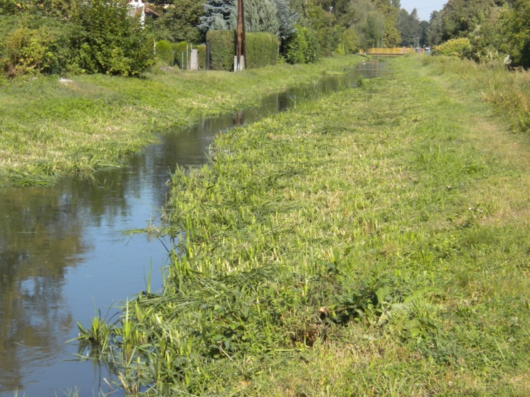 Mederkotrás előtt a Gyöngyös Mederkotrás előtt a Gyöngyös