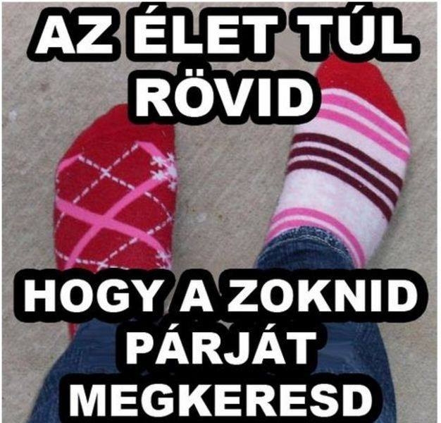 Napi bölcsesség a zoknikról Napi bölcsesség a zoknikról
