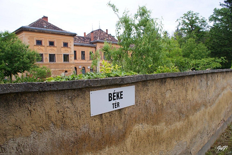 Azért mégis vannak eredmények!