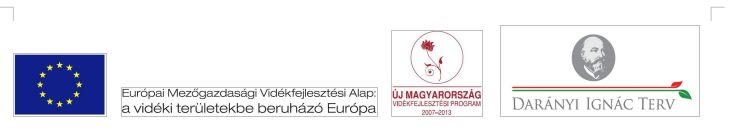 „Együtt, Egymástól”: új együttműködési lehetőségek a Kárpát-medence közösségei számára „Együtt, Egymástól”: új együttműködési lehetőségek a Kárpát-medence közösségei számára