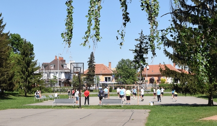 Szombathelyi park mustra
