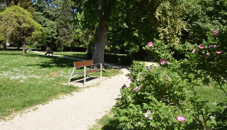 Szombathelyi park mustra