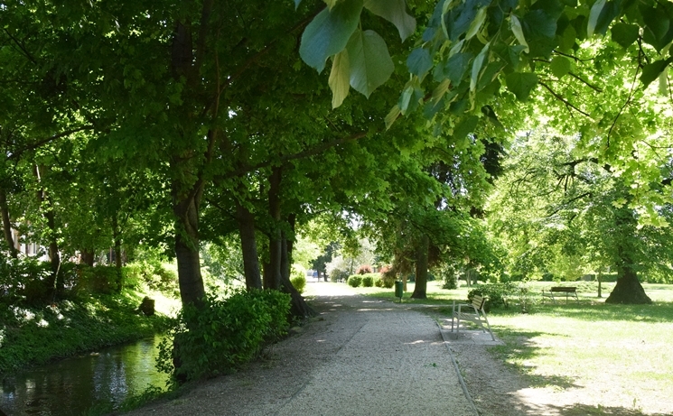 Szombathelyi park mustra