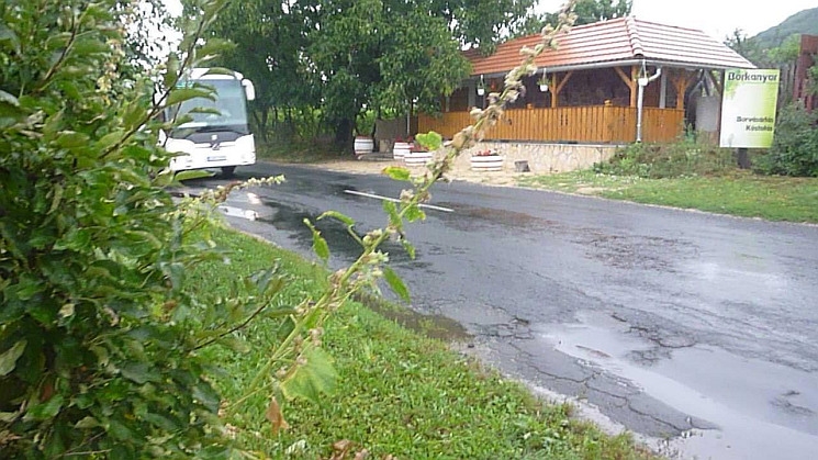 Balesetveszélyes útszakasz a Somló lábánál Balesetveszélyes útszakasz a Somló lábánál