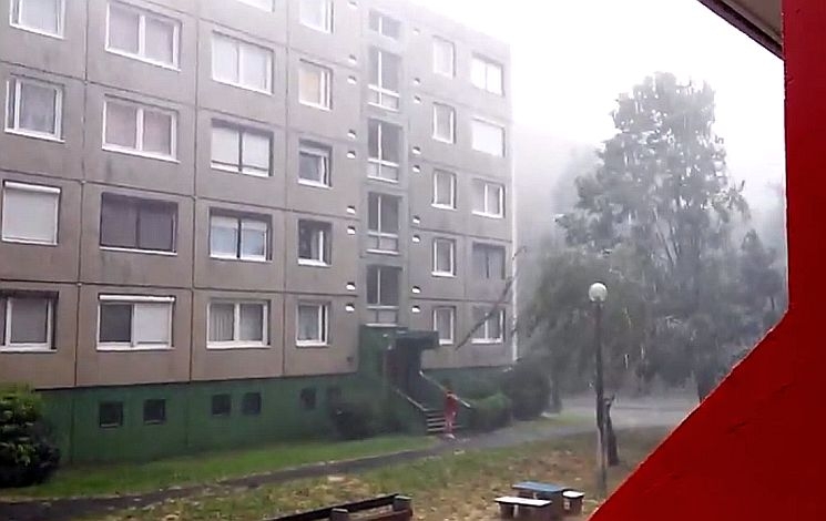 Faágakat tört le, fákat döntött ki a viharos szél Vas megyében Faágakat tört le, fákat döntött ki a viharos szél Vas megyében