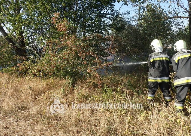 Kilencszáz négyzetméteren égett a fű Szombathely határában Kilencszáz négyzetméteren égett a fű Szombathely határában