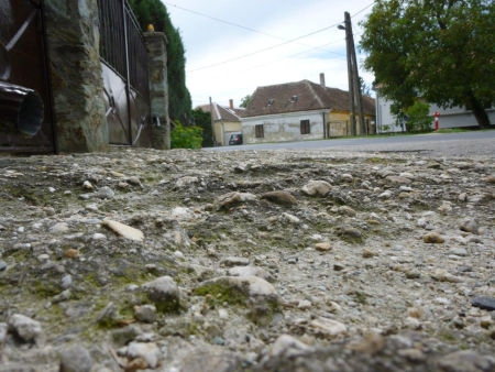 Mielőtt ősszel újra döntenénk Mielőtt ősszel újra döntenénk