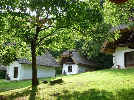 Cák