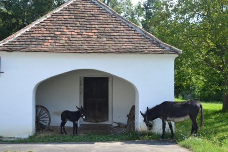 Kicsi vasi skanzeni csacsi  