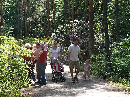 Jeli Arborétum Jeli Arborétum