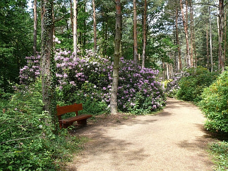 Jeli Arborétum Jeli Arborétum