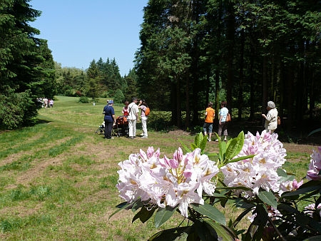 Jeli Arborétum