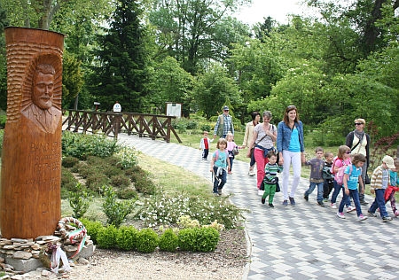 Kámoni Arborétum, rododendron virágzás