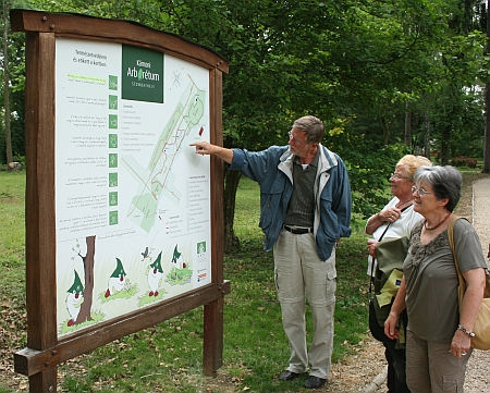 Kámoni Arborétum, rododendron virágzás