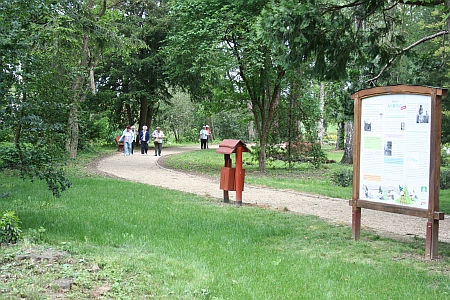 Kámoni Arborétum, rododendron virágzás