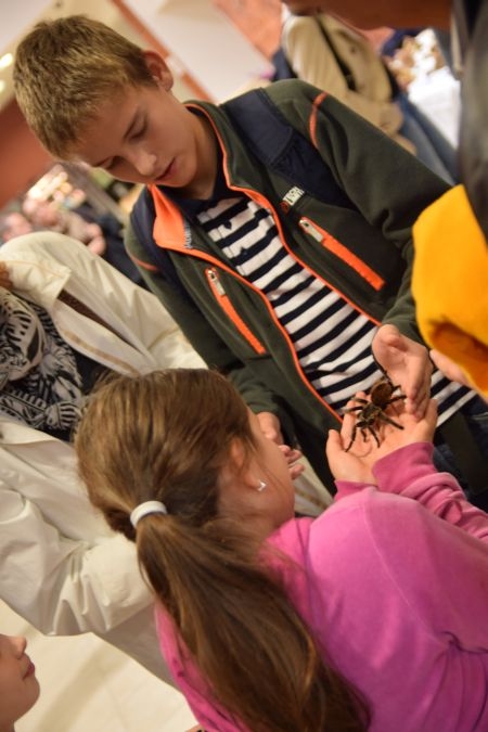 Kutatók éjszakája 2014 Kutatók éjszakája 2014