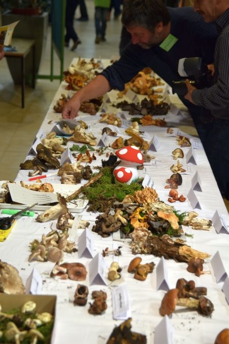 Kutatók éjszakája 2014 Kutatók éjszakája 2014