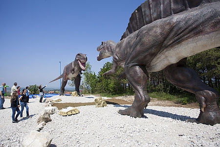 Dinopark, Rezi