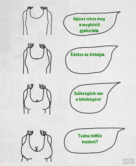 Állásinterjú Állásinterjú