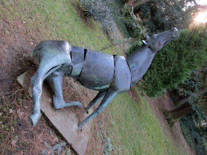 A soproni botanikus kert