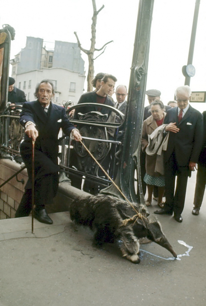 Salvador Dali megsétáltatja a hangyászokat