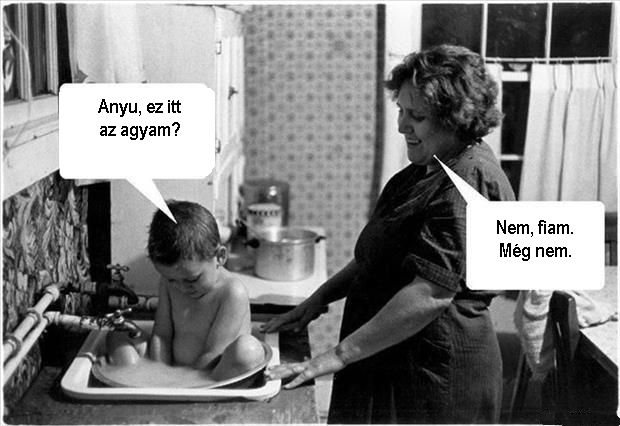 Nem fiam, még nem. Anyu, ez itt az agyam?