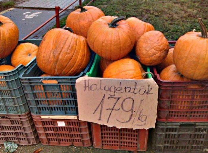 Halogéntök Halogéntök
