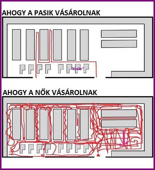 Hogyan vásárolnak és a férfiak és a nők? Hogyan vásárolnak és a férfiak és a nők?