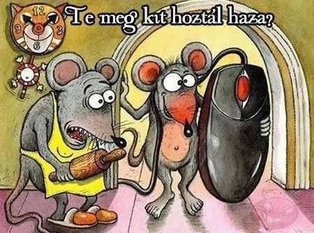 Kit hoztaál haza? Kit hoztaál haza?