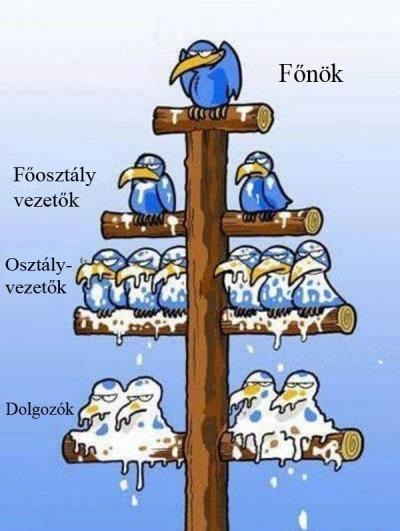 Vállalati struktúra Vállalati struktúra