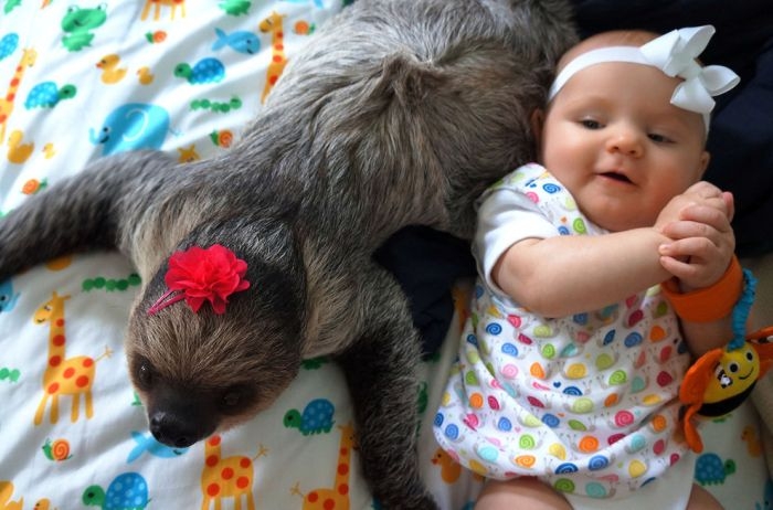 Napi cukiság: Alia és Daisy Napi cukiság: Alia és Daisy